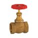 RIEGLER 103792-250.54 mofafsluitventiel, messing, G 1 1/4, DN 32, 1 stuk