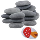Merkloos 20 natuurlijke schilderstenen voor kunstprojecten, 5-8 cm