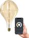 Calex wifi Smart XXL Organic EVO Goud E27 - Lampe LED intelligente - Or - Verre