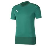 PUMA Herren teamGOAL 23 Training Jersey Trainingstrikot, Pepper Green-Power Green, XL