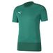 PUMA Herren teamGOAL 23 Training Jersey Trainingstrikot, Pepper Green-Power Green, XL