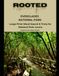 Rooted Everglades National Park: Large‑Print Word Search & Trivia for National Park Lovers
