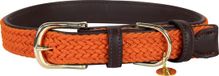 Kentucky Dogwear - Collier pour chien - Laisse pour chien en cuir végétalien - Taille XXS (28cm)