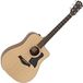 Taylor Guitars Taylor 110ce Natural