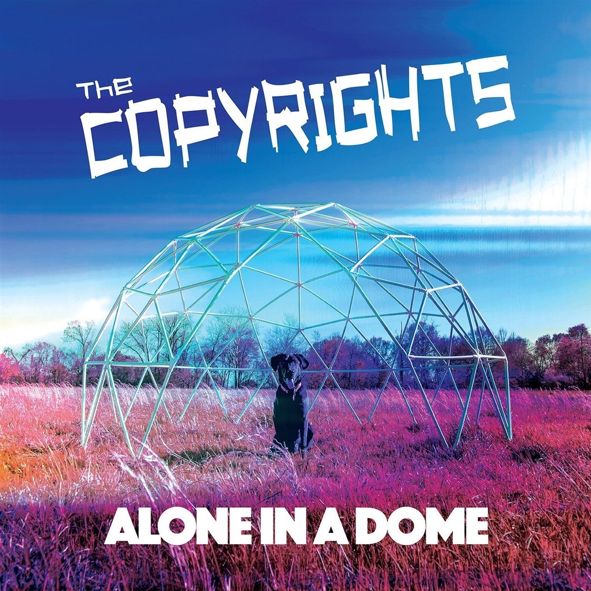 Sonic Rendezvous Alone in a Dome