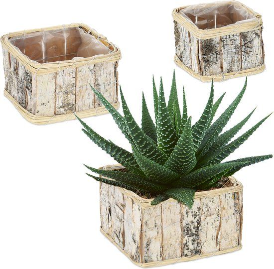 Plantenbak Set van 3 - Berkenhout - Rechthoekig - Buiten