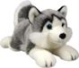 DUBI PLUSZ Husky, chien en peluche, 27 cm, numéro d'article 31969