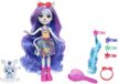 Enchantimals Chic Feestje Zemirah Zebra & Gariny Pop