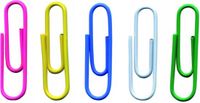 Merkloos / Sans marque PBS Connect Polska Sp. z o.o. Kleurrijke Paperclips 28mm - 1000 Stuks in Voordeelverpakking