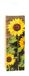 K3T Geschenkzakjes van kraftpapier ZONNEBLUME, 3-pack, grootte: Fles (HxBxD 36 x 12 x 8 cm), Art. Nr. 88282