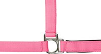 HKM Halster -Stars Softice- neon roze Koudbloed paard