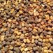 Voervoorvis Koi Sinking Mix | Zinkend koivoer | Vijvoervoer (4KG) (4,5mm)