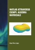 MATLAB ATTRAVERSO ESEMPI. ALGEBRA MATRICIALE