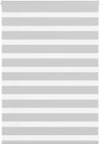 vidaXL Zebra rolgordijn 105x100 cm stofbreedte 100,9 cm lichtgrijs