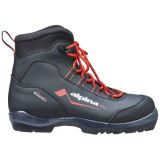 Alpina Snowfield Backcountry Chaussures de ski (46)