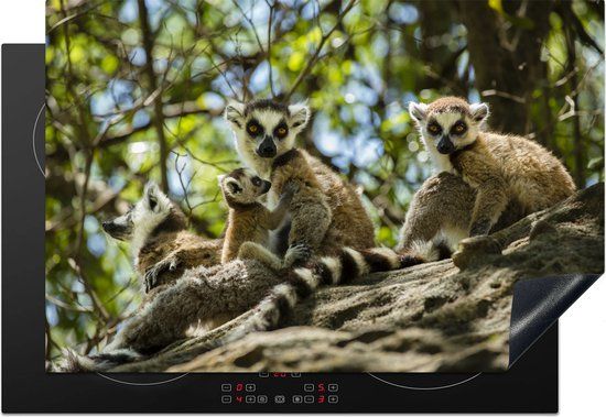 KitchenYeah® Inductie beschermer 77x51 cm - Maki's in Madagascar - Inductiebeschermer voor Inductie Kookplaat