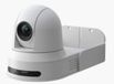 Cisco Webex Room Kit Plus PTZ 4K système de vidéoconférence