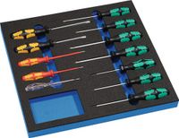 Wera Module d'outils | 12 pièces 2/3 module | fente / PH / PZD / torx | Sl.+PH+TX, testeur de tension. | 1 pièce - S4000871288 S4000871288