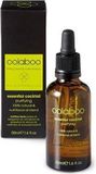 Oolaboo - Cocktail Essential - Purifying - 100% Natural & Nutritional Oil Blend - 50 ml
