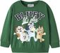 NAME IT Sweatshirt 'NMMJUST BLUEY' marine / bleu clair / vert / blanc