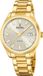 Festina Men's Gold Watch F20740/1