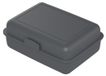 Icecat Lunchbox "School-Box" grand - Boîte à lunch durable en canne à sucre - Boîte à pain idéale pour enfants et adultes - gris