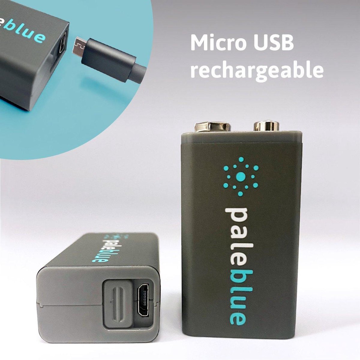 Pale Blue Earth 9V USB oplaadbare batterij (2x) - lithium - USB oplaadbaar