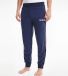 Tommy Hilfiger UM0UM02441 Pant Q1-22 Heren M Katoen Donkerblauw