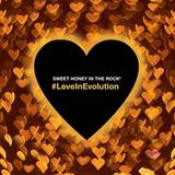 Music&Words Sweet Honey In The Rock #Loveinevolution (CD)