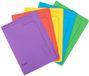 Exacompta 25x FOREVER® L-mappen bedrukt 290g/m2 22x31cm voor A4 - Geassorteerd