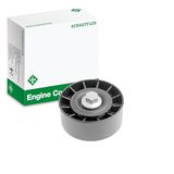 INA 532 0254 10 spanband Poly-V