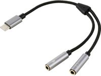 Renkforce USB-C Audio Adapterkabel 20 cm Aluminium-grijs