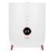 Adler AD 7972 luchtbevochtiger Ultrasonic 4 l Wit 23 W