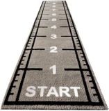 Forzafit Sprinttrack Kunstgras - Indoor/Outdoor - 10 x 2 meter - Grijs - 17 mm