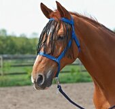 Busse Weidehalster Cob blauw Polyester