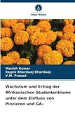Wachstum Afrikanische Studentenblume Wachstum und Ertrag unter dem Einfluss von Pinzieren und GA₃