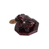 Lachineuse Feng Shui beschermhoes