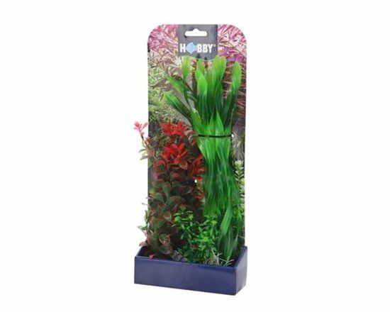 Smulders Hobby Plantasy Set 2 Kunstplant Groen/Rood