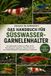 Das Handbuch Für Süsswassergarnelenhalter