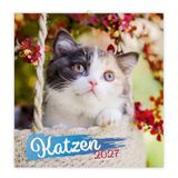 TRÖTSCH Broschürenkalender Katzen 2027