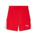 PUMA teamLIGA26 Shorts