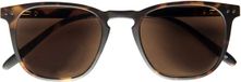 I Need You - The Frame Company Leeszonnebril INY Playa G60400 havanna +3.00