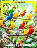 Variety Of Birds Photo Book