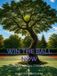 WIN Bookmundo WIN THE BALL NOW