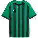 Puma Pull enfant TeamLiga26 Stripped
