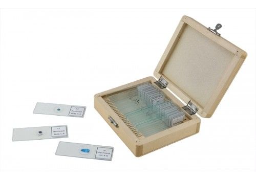 Celestron Microscope 25 Prepared Slides