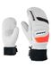 Ziener Gloves Guardi Skihandschoenen voor heren