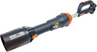 Worx WG585E.9 accu bladblazer 40 V