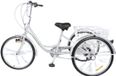 Bolt Edge Tricycle Madrid - Argent