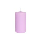 Risthò Stompkaarsen, violet, diameter 5 cm, hoogte 10 cm, 12 stuks